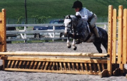 Crewsmall.jpg (29175 bytes)