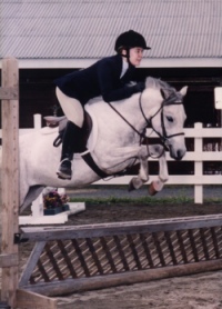 Hollyfence2small.jpg (30558 bytes)