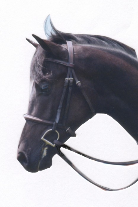 Jasparhead.jpg (49102 bytes)