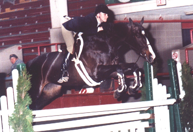 ally99a.jpg (159211 bytes)