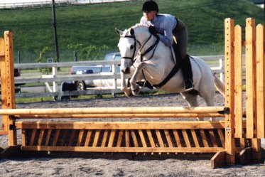 bambi2.jpg (33548 bytes)