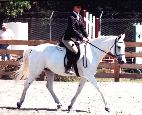 bambi3.jpg (151120 bytes)