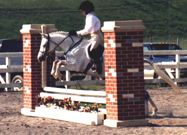 leda1.jpg (34683 bytes)