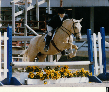 peachy1.gif (83320 bytes)