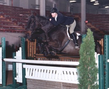 scooter1.jpg (31031 bytes)